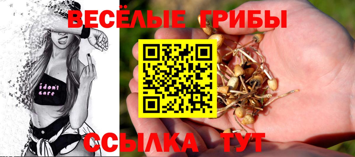 Псилоцибиновые грибы Cubensis Ахтубинск